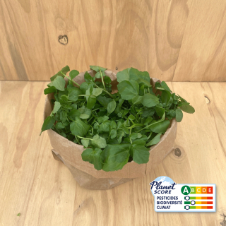 Cresson (sachet 200g) - Ferme urbaine aquaponique à Bordeaux