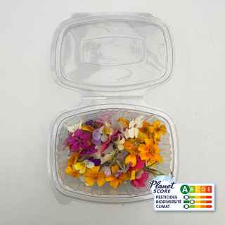 Mix de fleurs comestibles (boîte de 40 fleurs) - Ferme urbaine aquaponique à Bordeaux