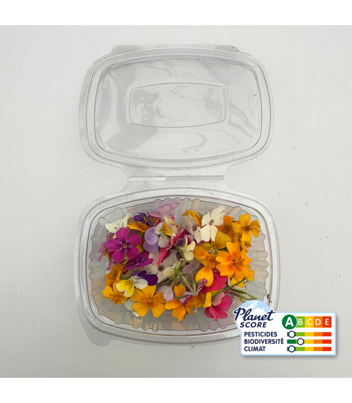 Mix de fleurs comestibles (boîte de 40 fleurs)