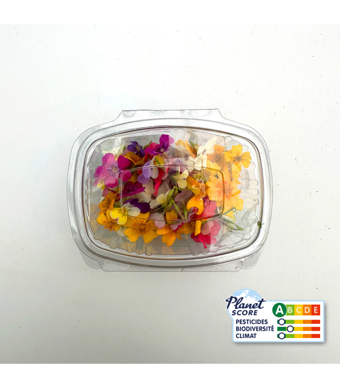Mix de fleurs comestibles (boîte de 40 fleurs)