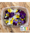 Fleurs de pensées comestibles (boîte de 40 fleurs)
