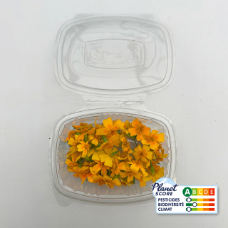 Fleurs de tagètes comestibles (boîte de 40 fleurs) - Ferme urbaine aquaponique à Bordeaux