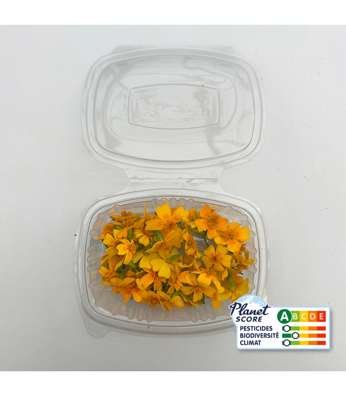 Fleurs de tagètes comestibles (boîte de 40 fleurs)