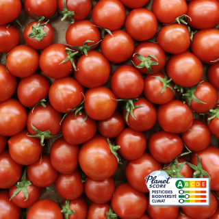 Tomates cerises (250g) - Ferme urbaine aquaponique à Bordeaux