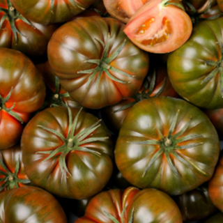 Tomates Anciennes (1kg) - Ferme urbaine aquaponique à Bordeaux