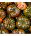 Tomates Anciennes (1kg)