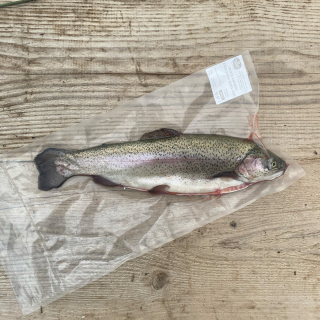 Truite fraîche entière sous vide - 15,90€ le kg - Ferme urbaine aquaponique à Bordeaux