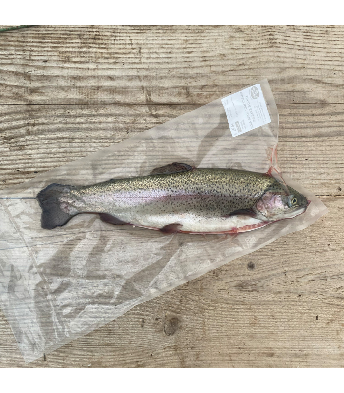 Truite fraîche entière sous vide - 15,90€ le kg