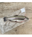 Truite fraîche entière sous vide - 15,90€ le kg