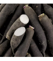 Radis Noir (pièce)
