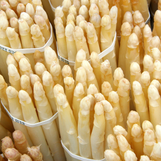 Asperges blanches (500g) - Ferme urbaine aquaponique à Bordeaux