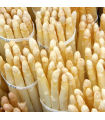 Asperges blanches (500g)