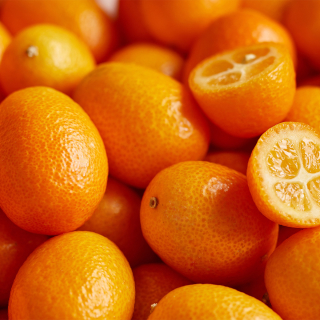 Kumquat de Corse (250g) - Ferme urbaine aquaponique à Bordeaux