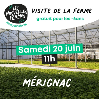 Visite Samedi 20 Juin - 11H - Ferme urbaine aquaponique à Bordeaux