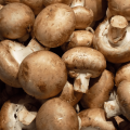 Champignons de paris bio (300 g)