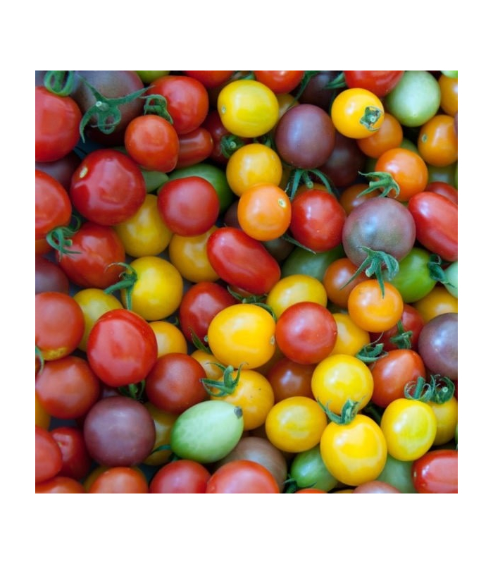 Tomates Cerises (250g)