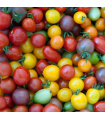 Tomates Cerises (250g)