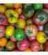 Tomates (1kg)