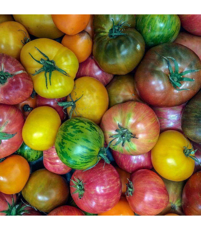 Tomates (1kg)