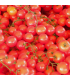 Tomates Cerises (250g)