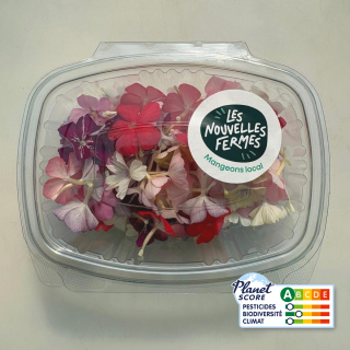 Fleurs comestibles - phlox (boîte de 40 fleurs) - Ferme urbaine aquaponique à Bordeaux