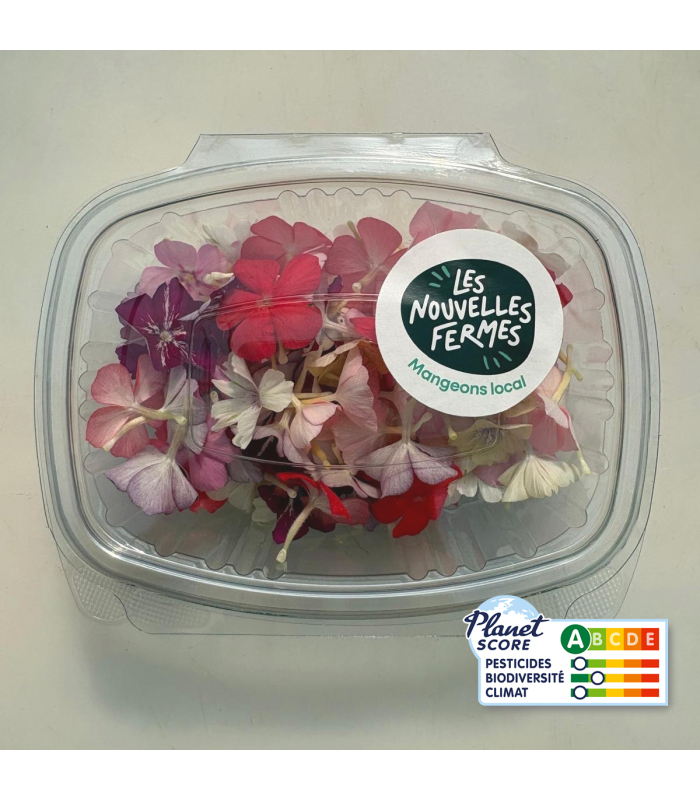 Fleurs comestibles - phlox (boîte de 40 fleurs)