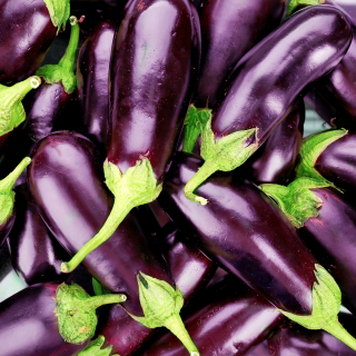 Aubergines (kg) - Ferme urbaine aquaponique à Bordeaux