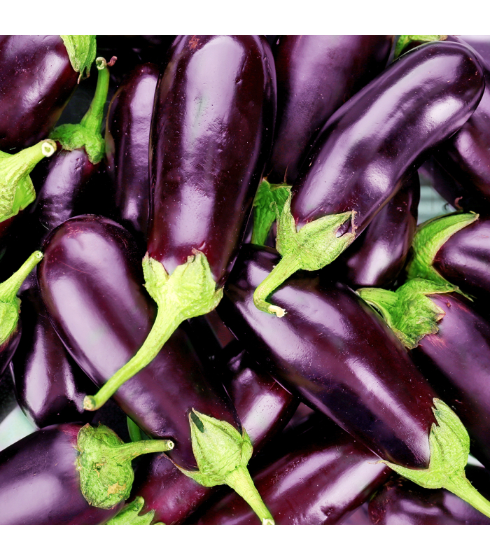 Aubergines (kg)