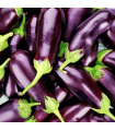 Aubergines (kg)