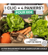 4 paniers de saison - abonnement mensuel