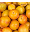 Prunes jaunes (500g)