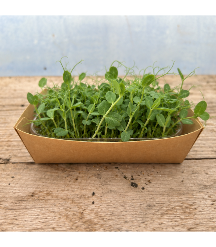 Micro pousse pois (pièce)