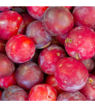 Prunes rouges (500g)