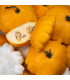 Courge patisson (unité)