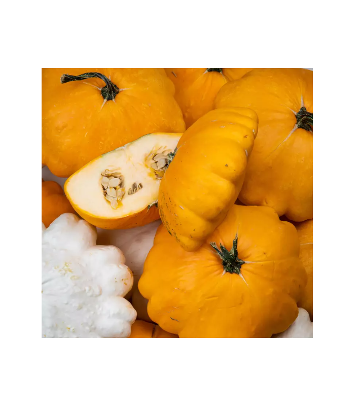 Courge patisson (unité)