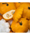 Courge patisson (unité)