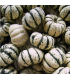 Courge patidou (unité)