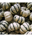 Courge patidou (unité)