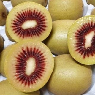 Kiwis rouges (2 pièces) - Ferme urbaine aquaponique à Bordeaux