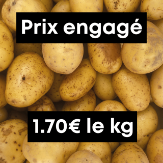Pommes de terre (1kg) - Ferme urbaine aquaponique à Bordeaux