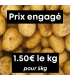 Pommes de terre (5kg)
