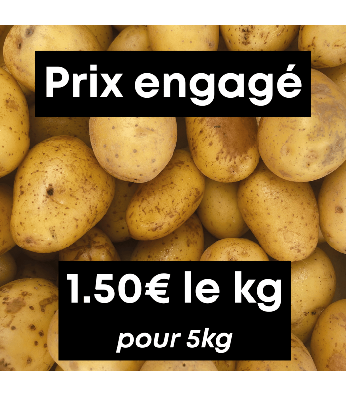 Pommes de terre (5kg)