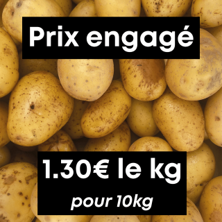 Pommes de terre (10kg) - Ferme urbaine aquaponique à Bordeaux