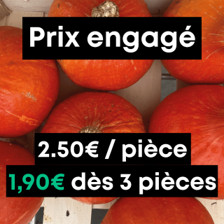 Potimarron (unité) - Ferme urbaine aquaponique à Bordeaux