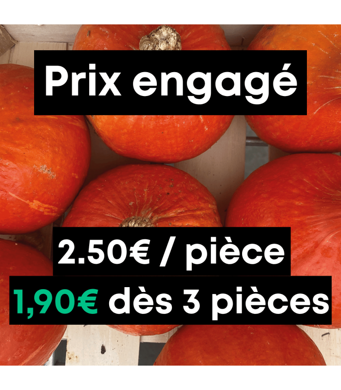 Potimarron (unité)