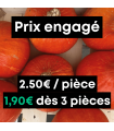 Potimarron (unité)