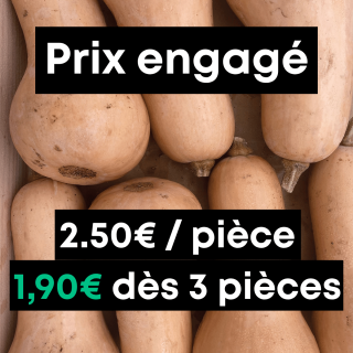 Butternut (unité) - Ferme urbaine aquaponique à Bordeaux