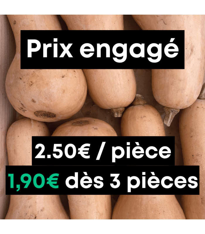 Butternut (unité)