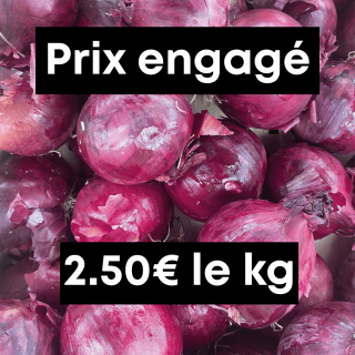Oignons rouges (1kg) - Ferme urbaine aquaponique à Bordeaux