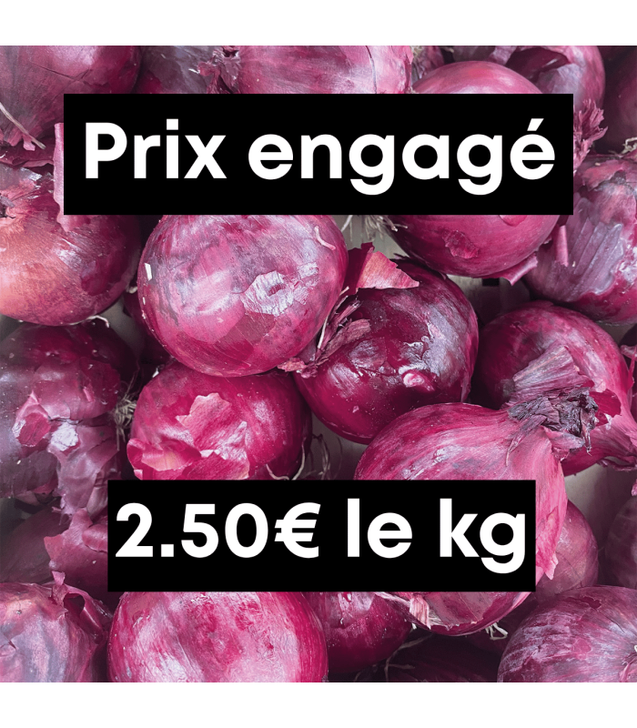 Oignons rouges (1kg)